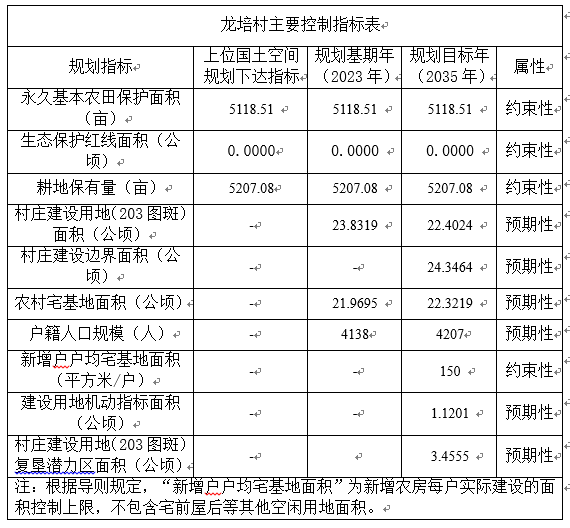 龙培村主要控制指标表.png