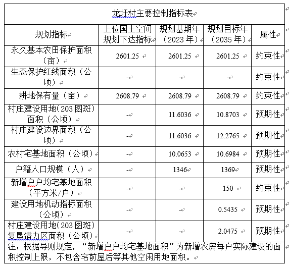 龙圩村主要控制指标表.png