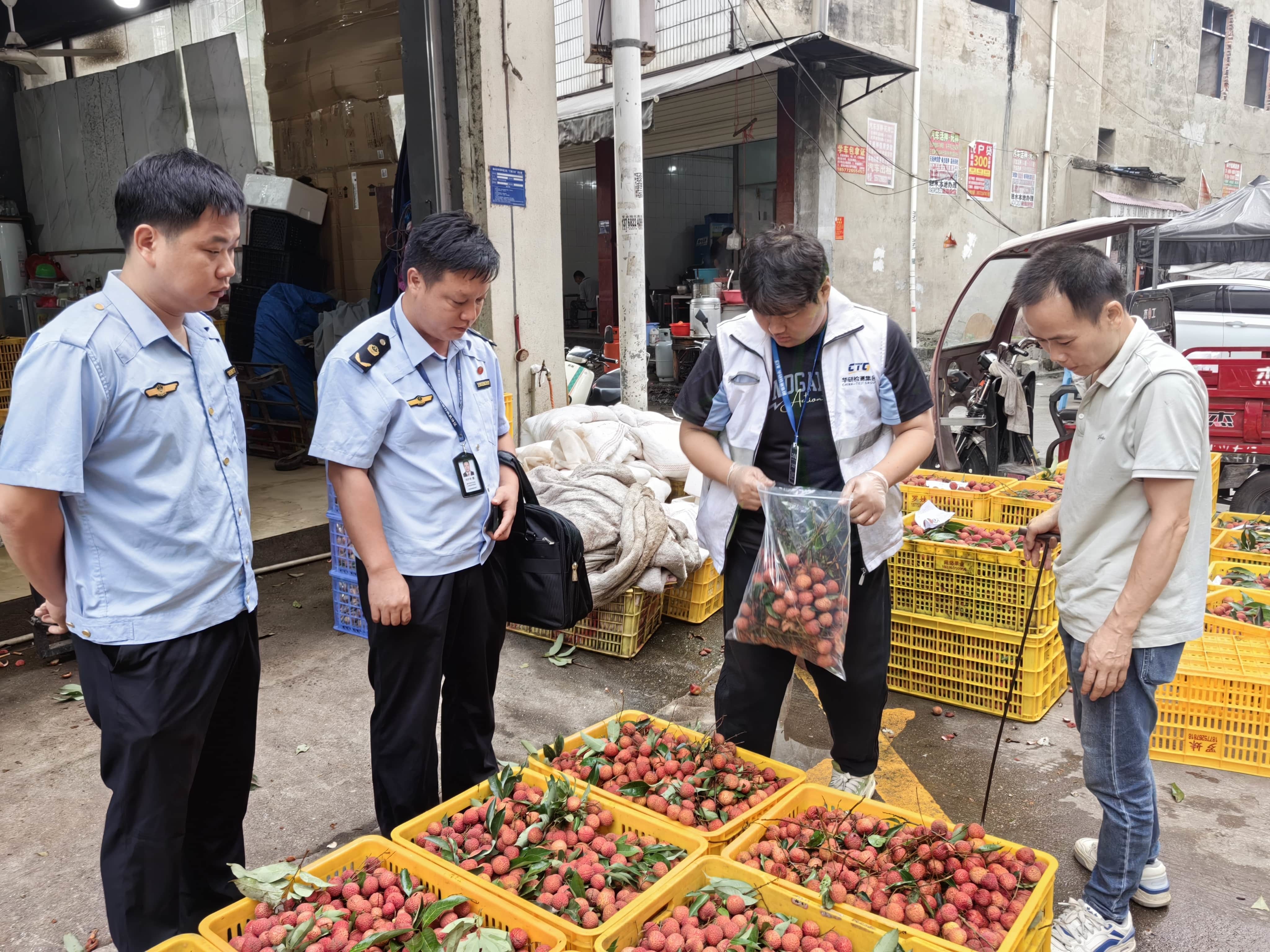 在水果批发市场开展荔枝抽检 (5).jpg