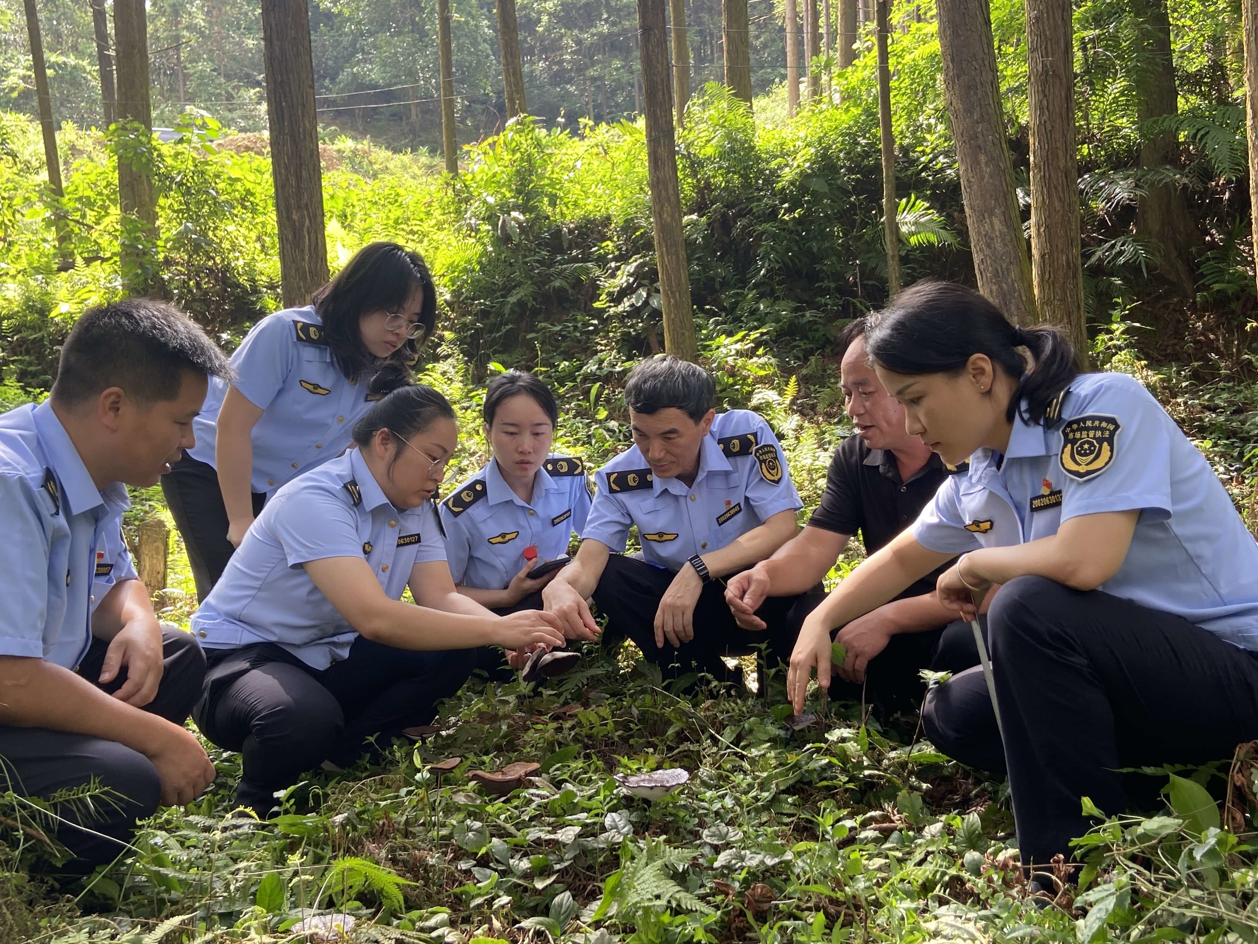 县市场监管局专家组调研融水灵芝.jpg